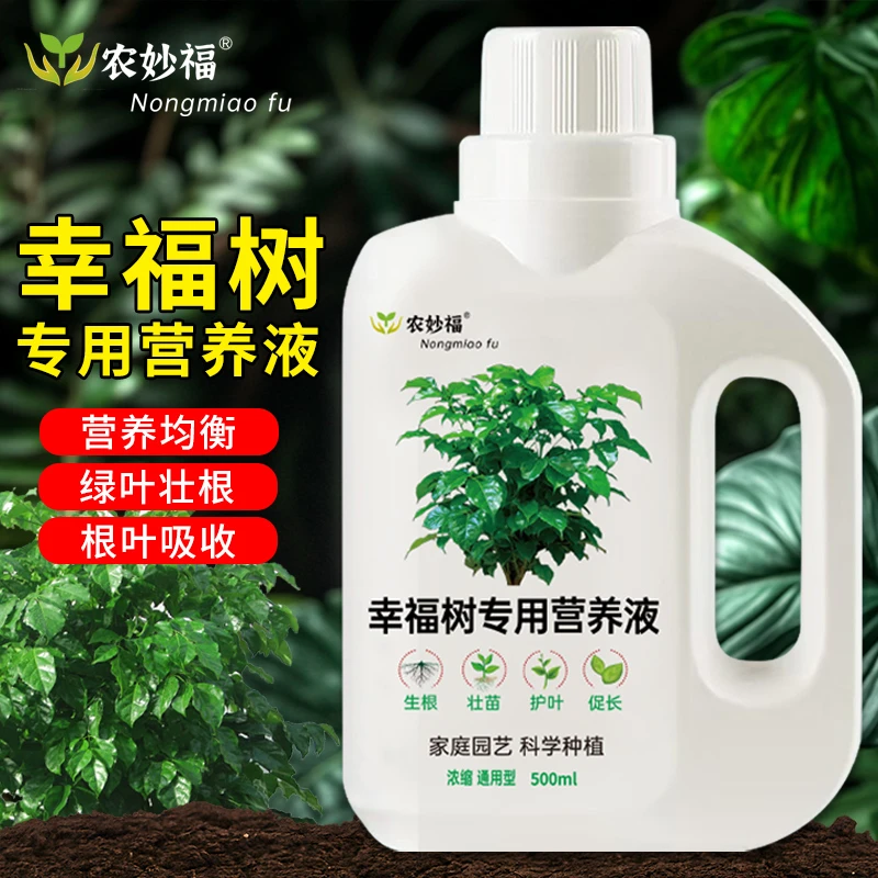幸福树专用肥料液体营养液治黄叶室内绿植盆栽通用叶面肥促生长