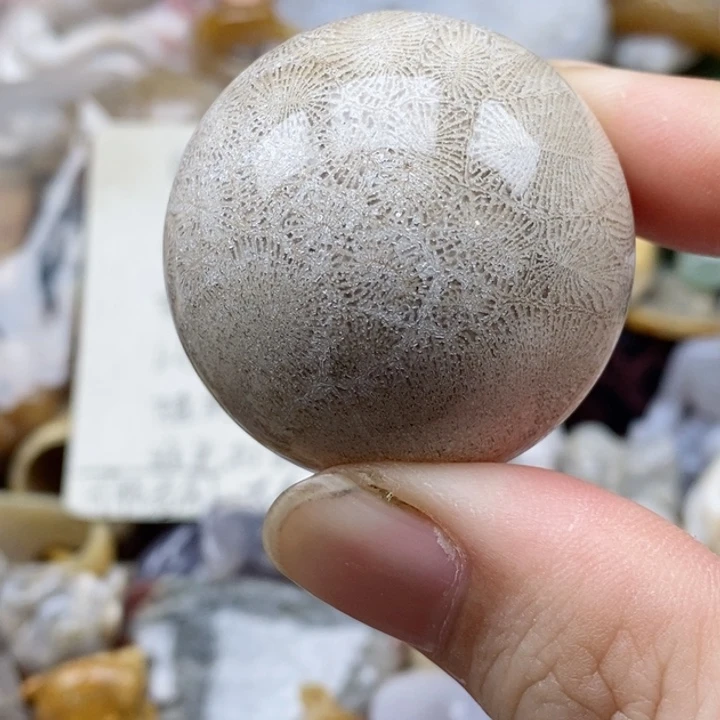 硅化珊瑚（珊瑚玉）未镶嵌颈饰