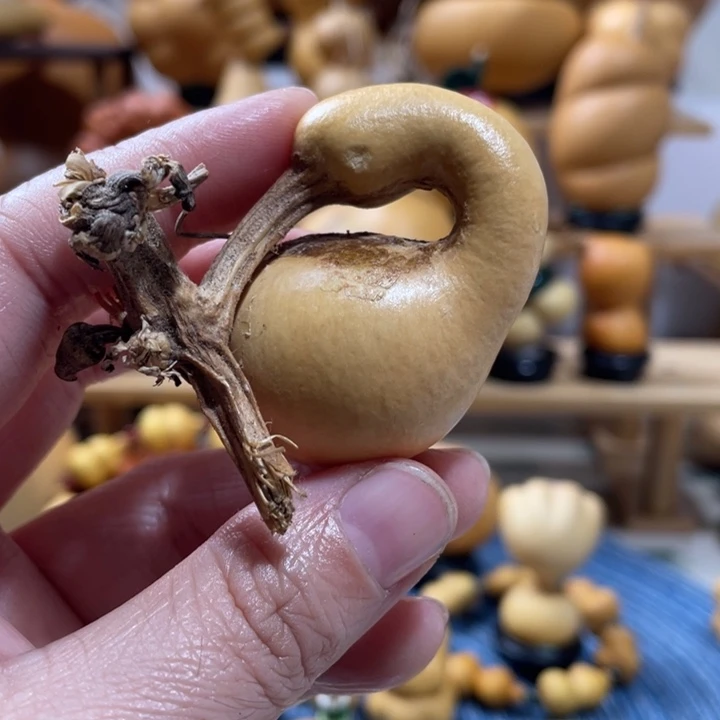 君***歌15美好的一天从吃瓜开始啦打