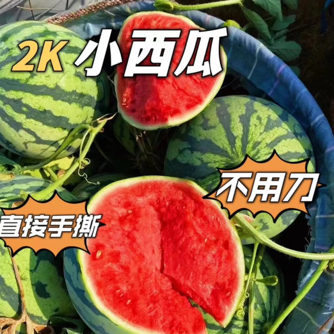 山东正宗2K小西瓜手剥西瓜新鲜水果现摘现发口感甜甜顺丰