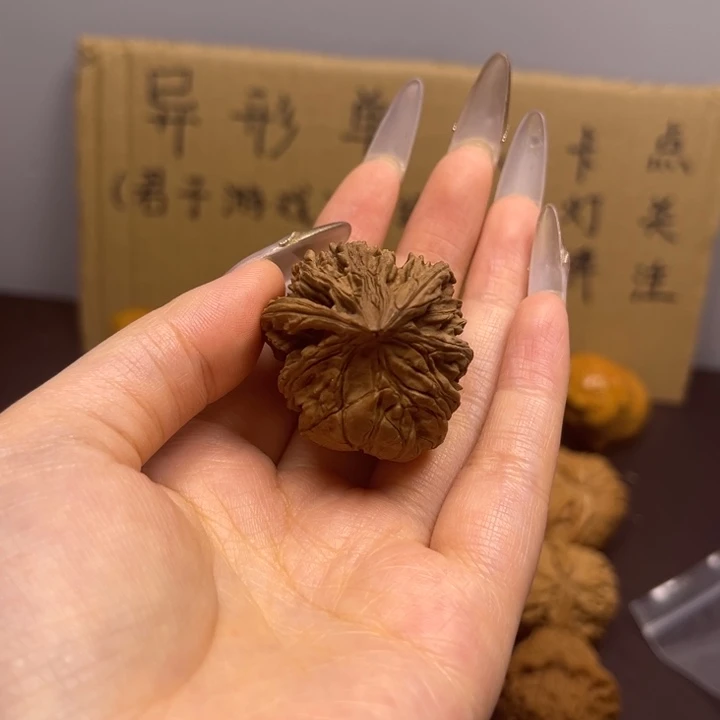 星***享菩提籽类蛇单只异型有瑕