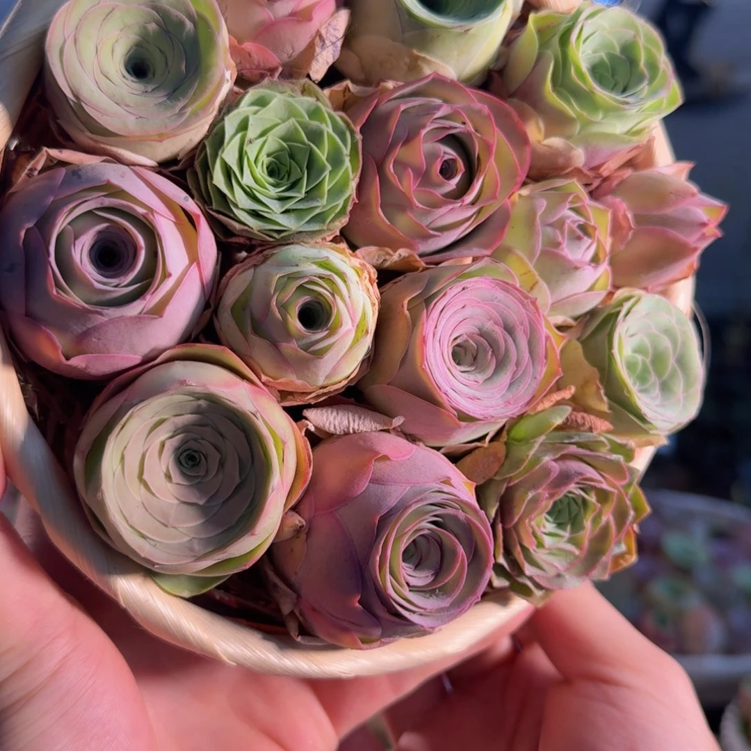 A545 竹编花篮玫瑰组合