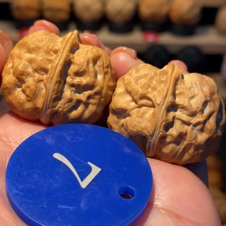 木质类双龙疙瘩包33尺寸