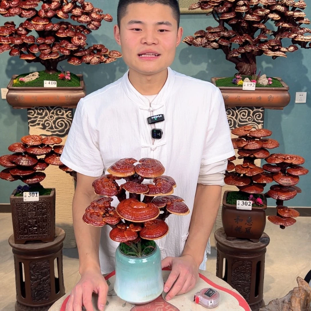 无花朵888888888888