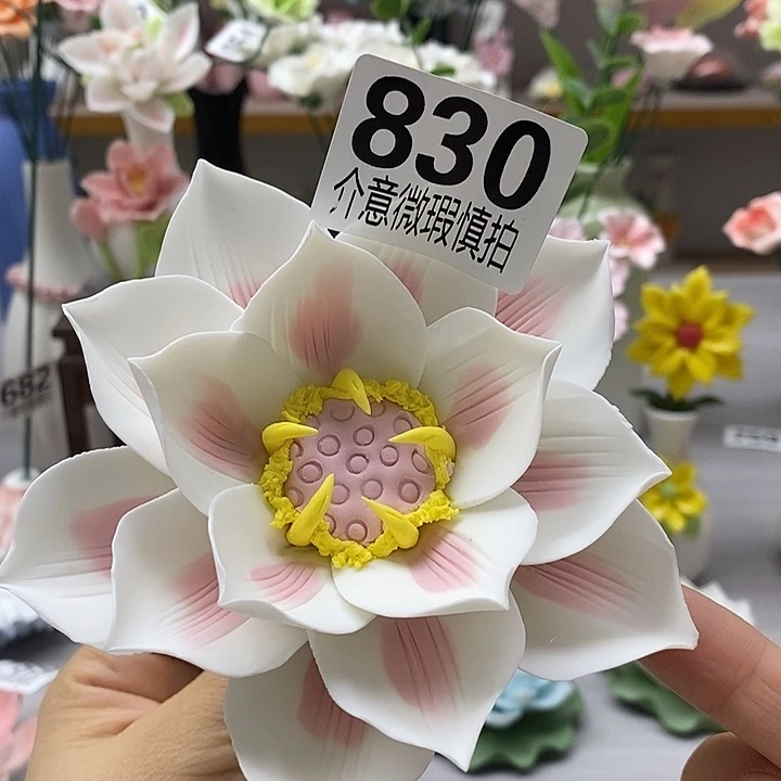 陶瓷陶瓷材料加工