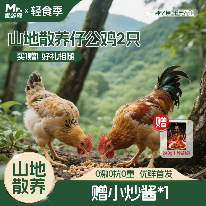 散养山地仔公鸡90天红烧清蒸送小炒酱