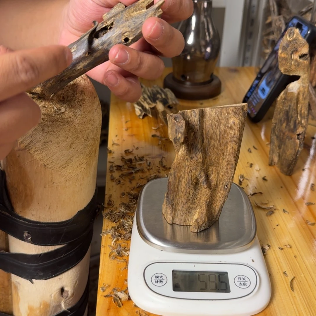 沉香白奇虫漏香59克