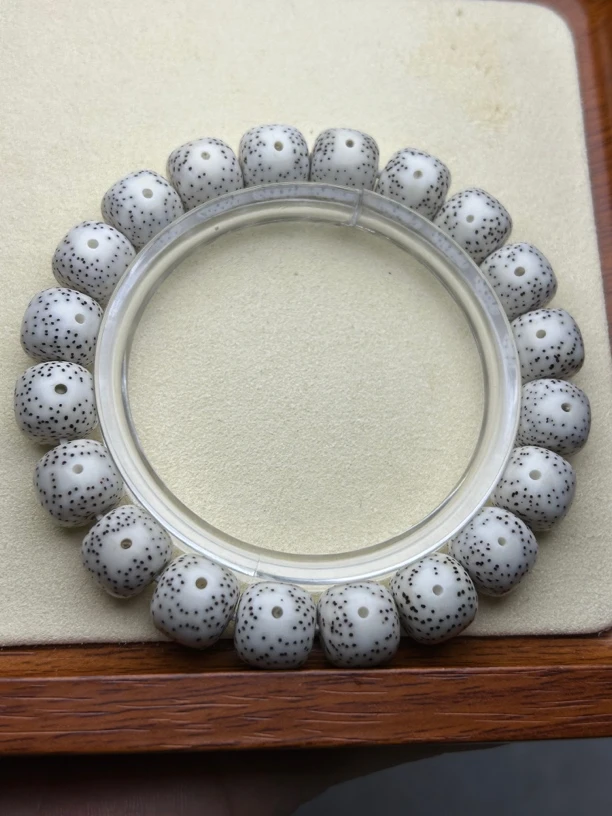 12/11海南原生态大眼睛小细星