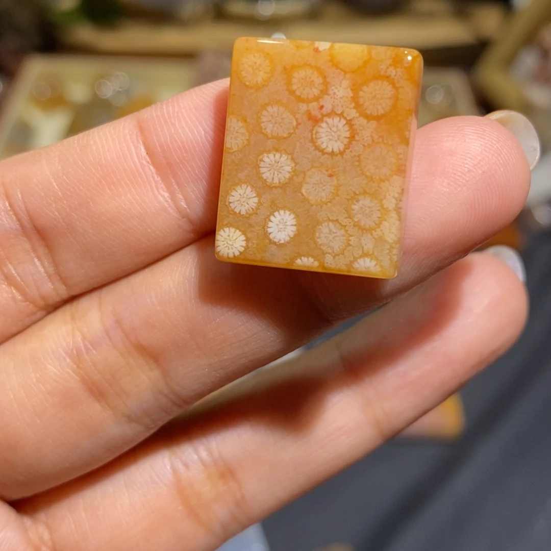 【闪购商品】未镶嵌珊瑚玉硅化玉