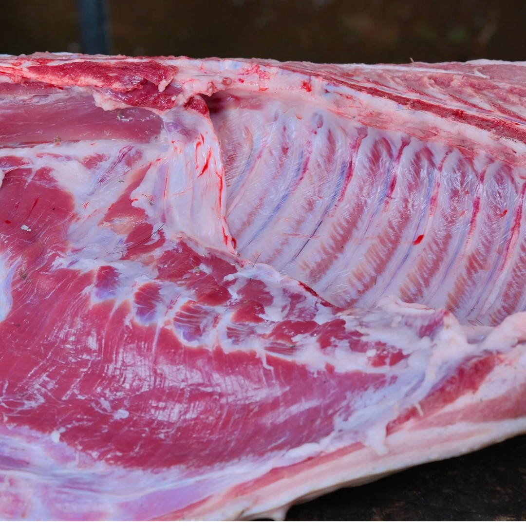 纯粮食喂养 现场称重 现杀现发 藏香猪