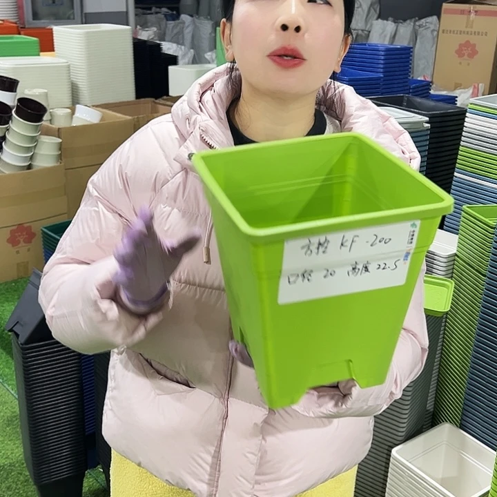 正品方盆口20高22果绿6只无托