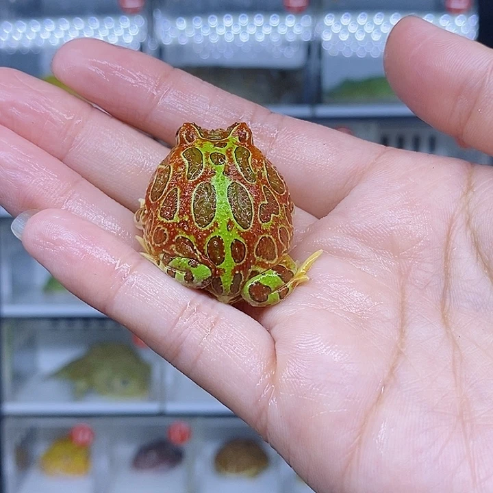 特价秒杀现货特价残