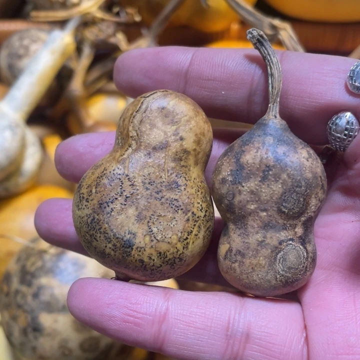 新年快乐万事大吉