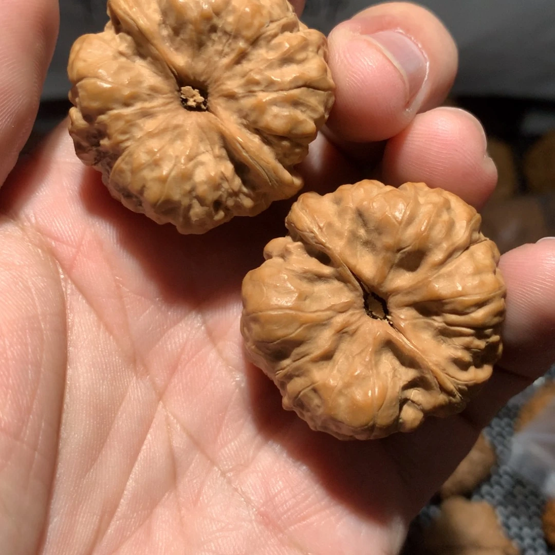 把件文玩核桃蛤蟆头开播福利