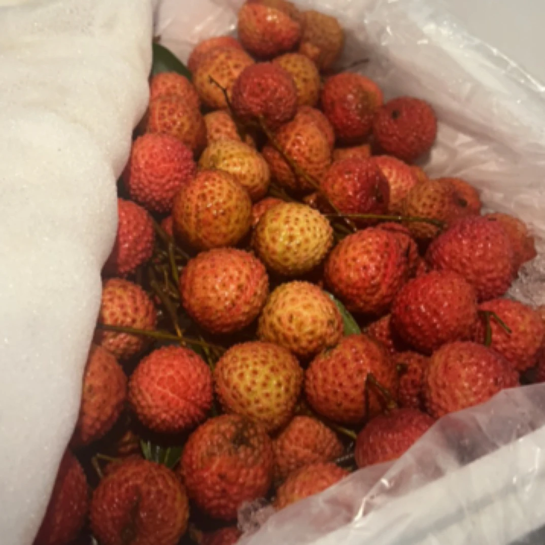 [赣智惠农]桂味荔枝 京东包邮