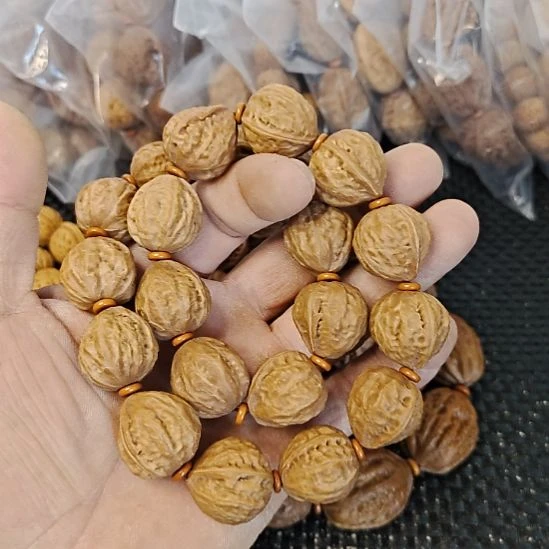 木质类纯野生山核桃     21