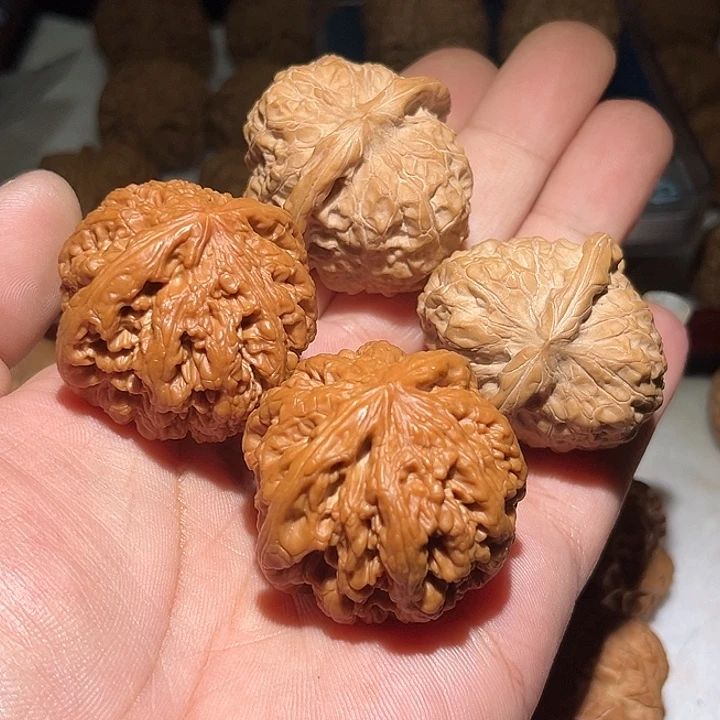 有***满木粗筋➕南瓜敦。