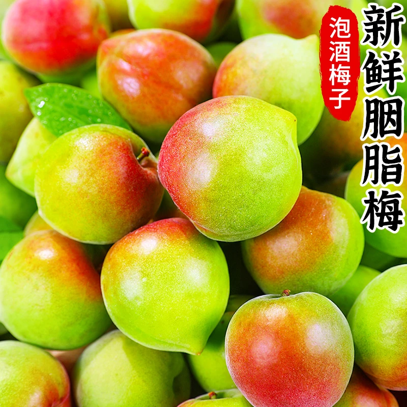 【顺丰包邮】福建诏安胭脂青红梅新鲜现摘酸脆泡酒梅子水果5斤