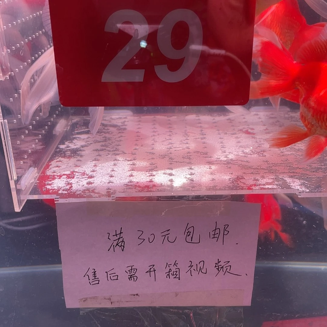红虎头鱼冷水机的安装及维修