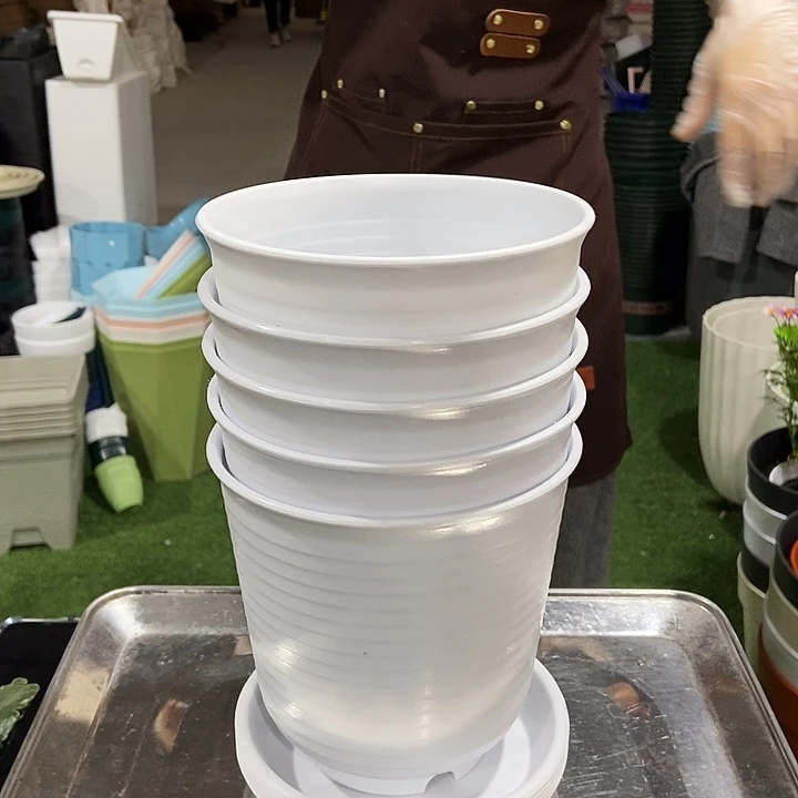 高陶口15高15白色带托5只包邮