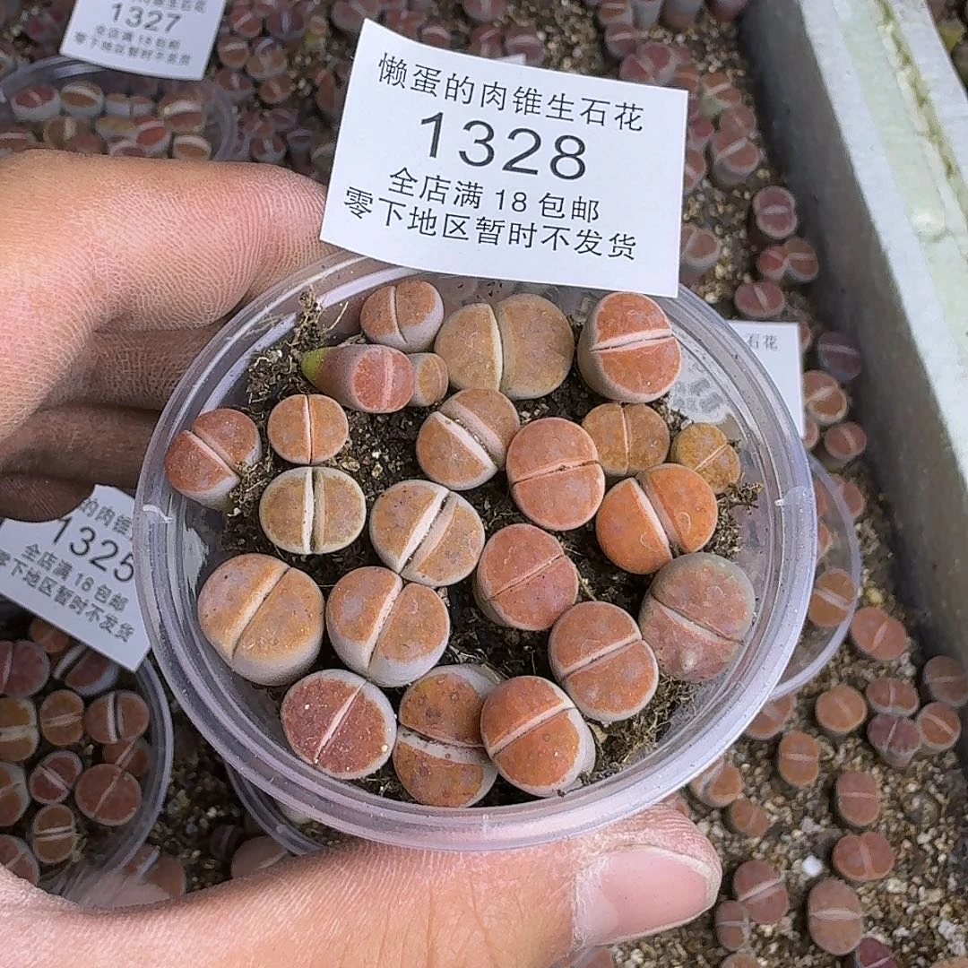 1328 哈哈哈哈哈哈哈哈哈哈