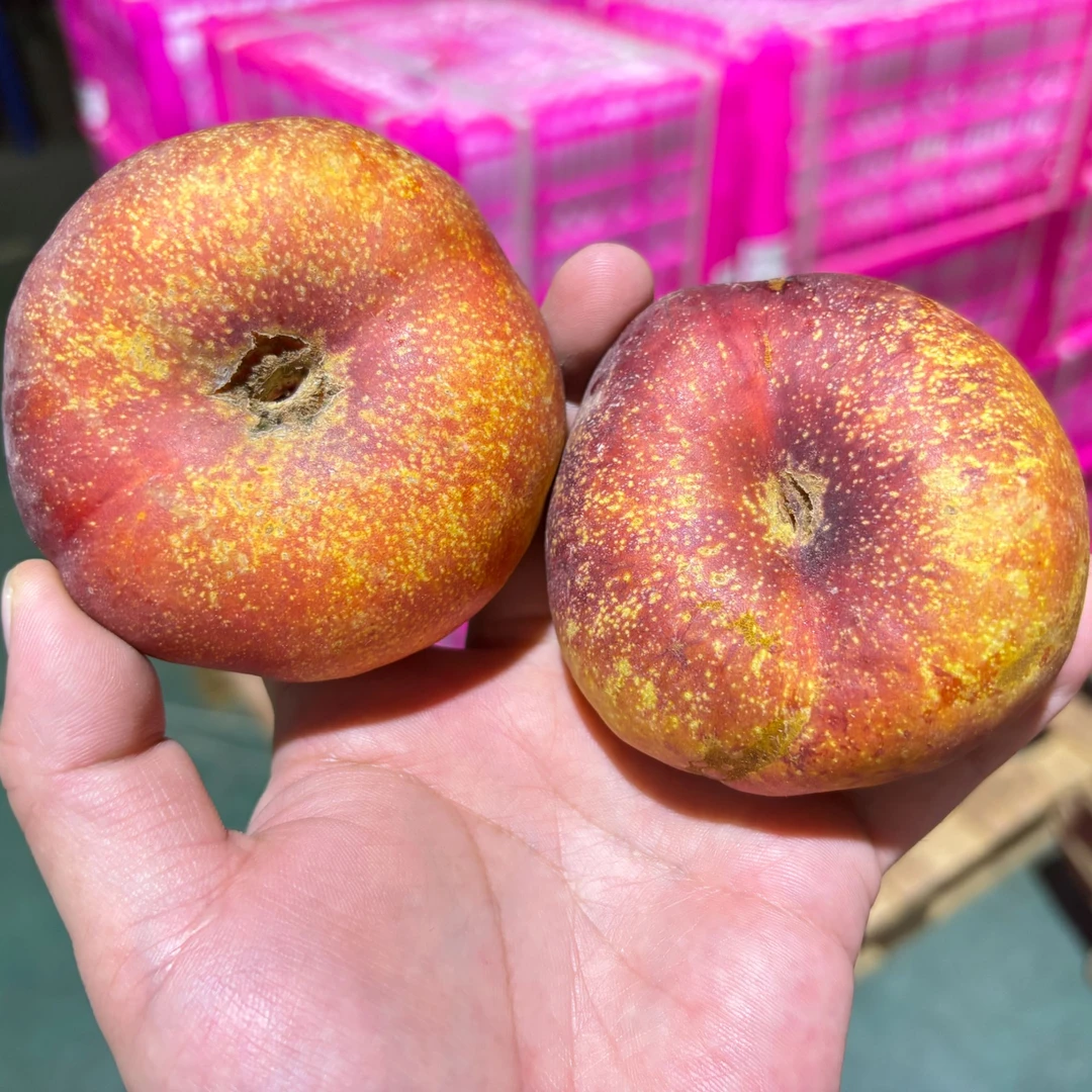 【哈拉秀严选】空运 新疆油蟠桃3.2斤以上（果子有大有小）