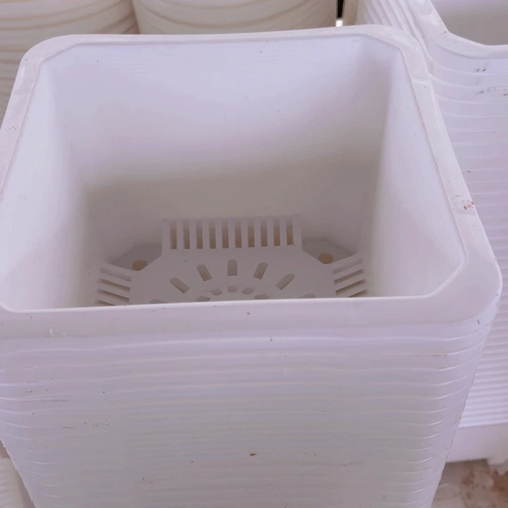 白方口21高15一组5