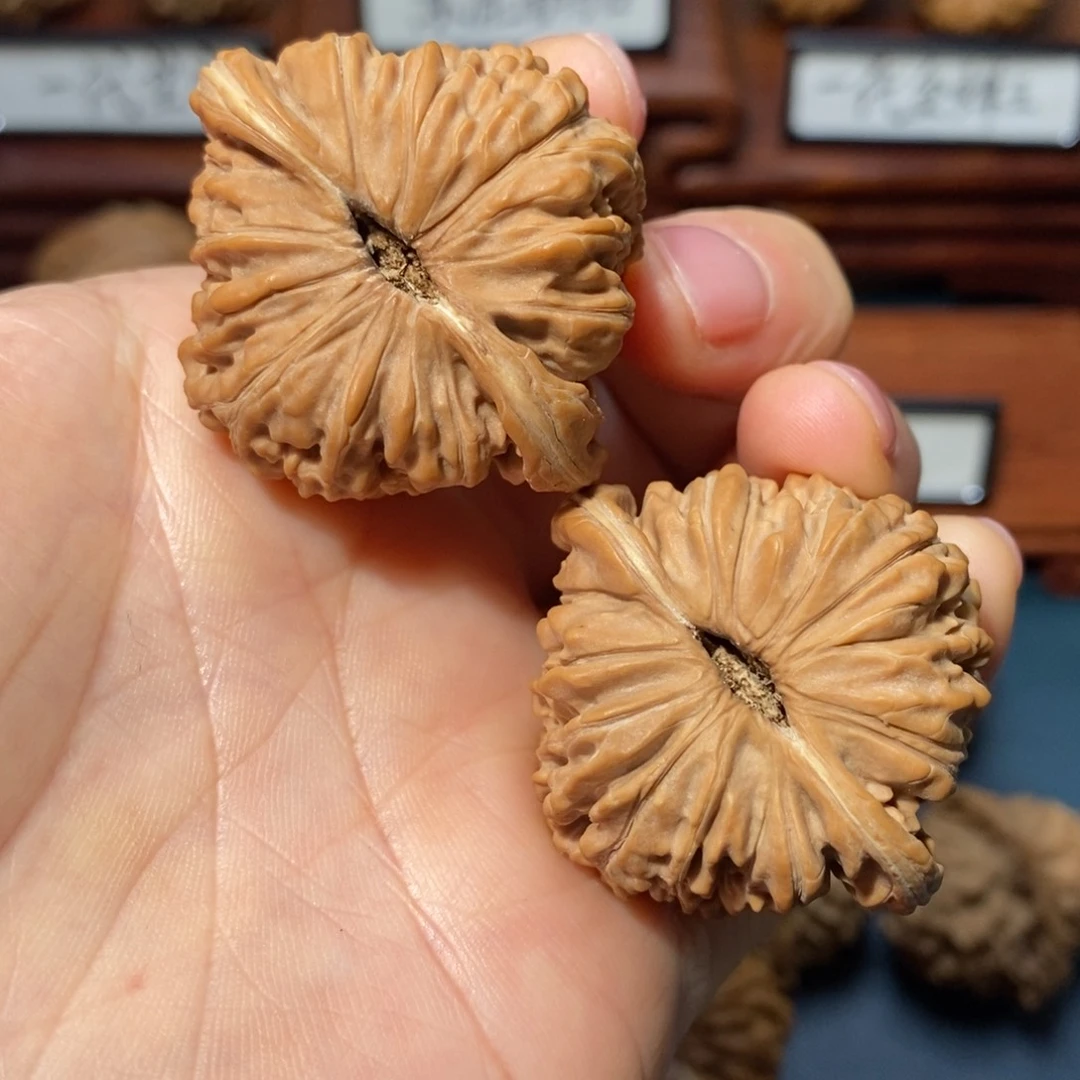 文玩核桃把件核桃
