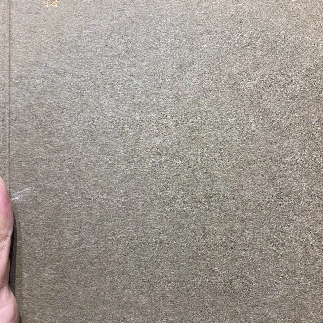 银光色百年银元书籍