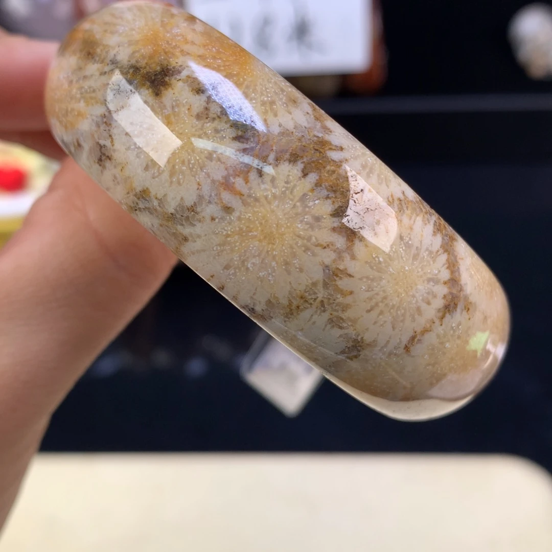 硅化珊瑚（珊瑚玉）未镶嵌吊坠(赠链)上新手镯53.6圈（12号）