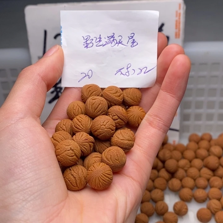 手串桃核12mm左右野生满天星20孔（不打孔）