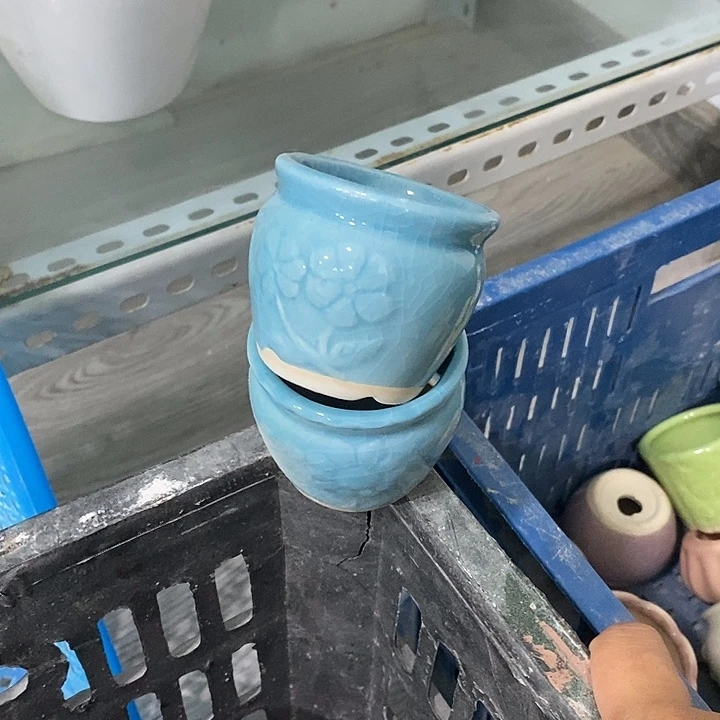 花盆抢购清货马上开始