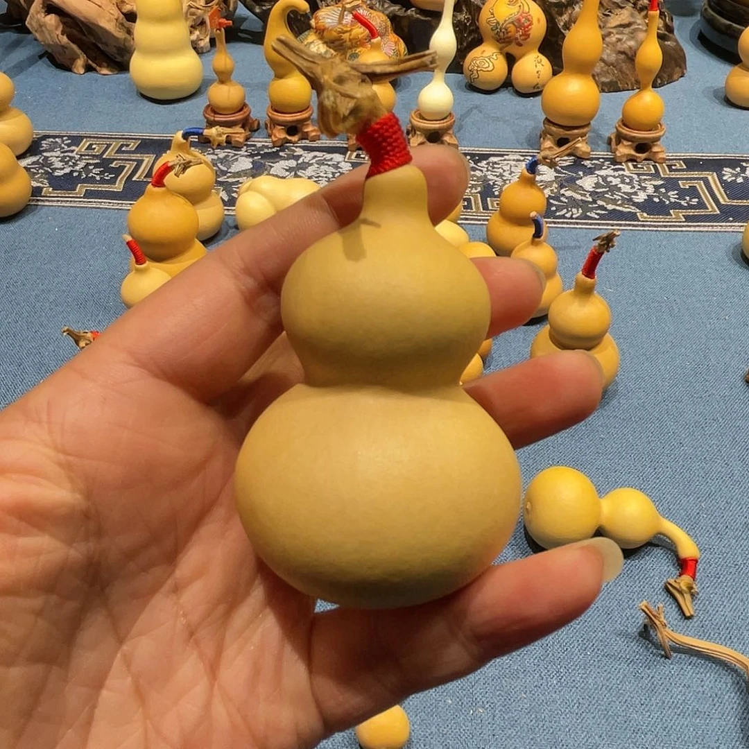 木禾***天葫芦等经济林木生长在