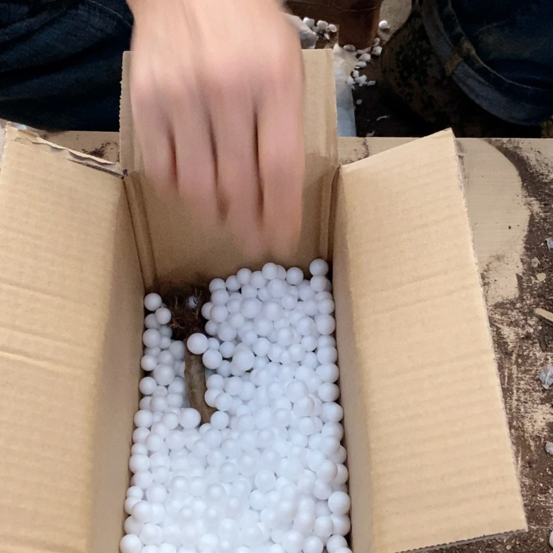 9.9不知道几颗版本