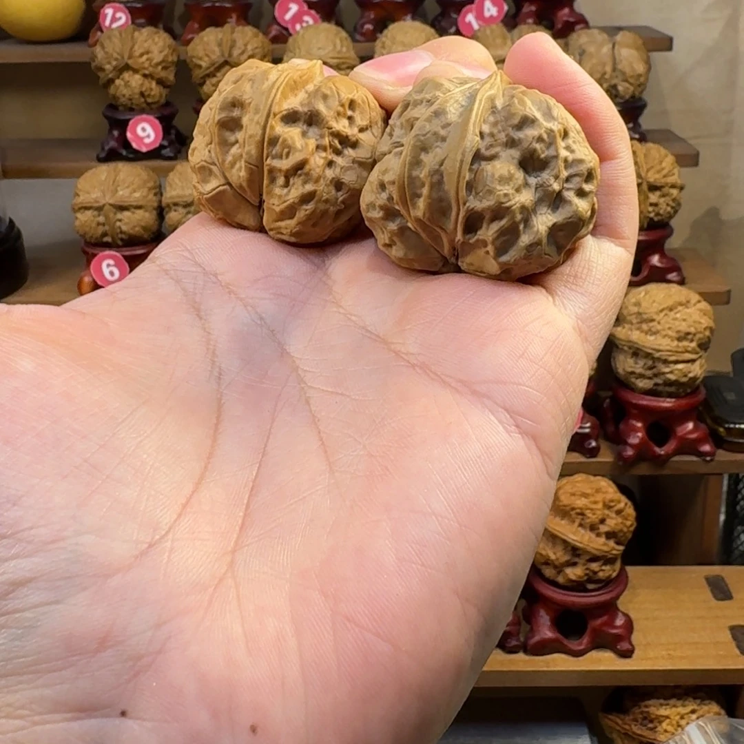 根***）铁核桃把件妖孽蝉皇异形生命之源