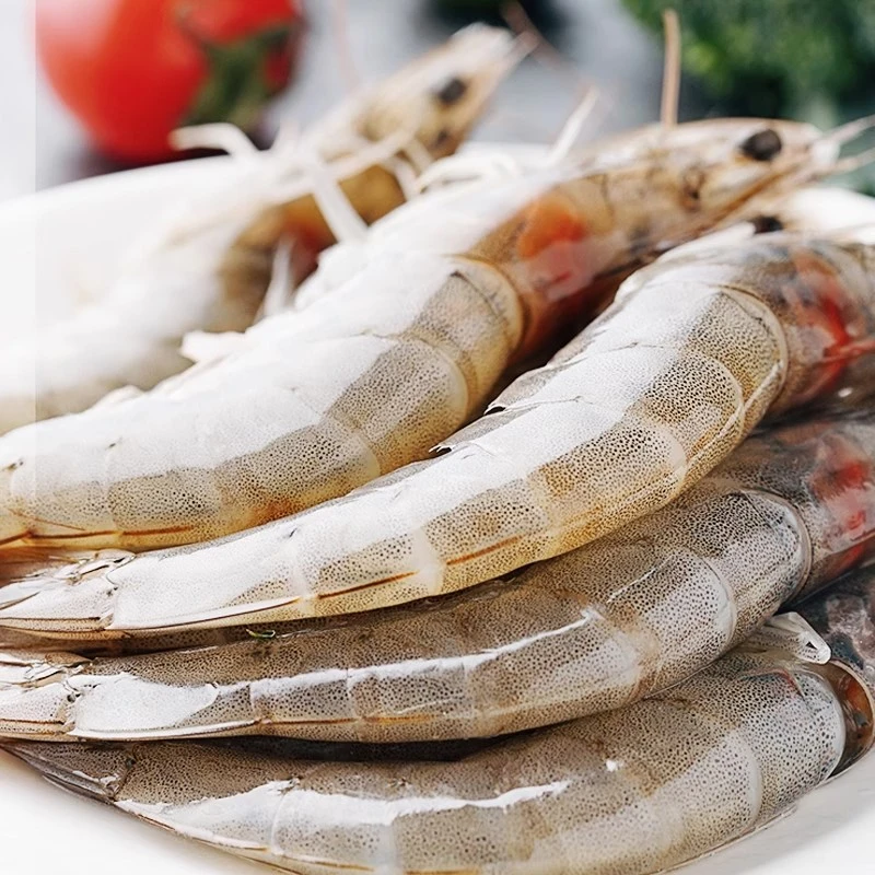 （三斤装）每天早上发货明虾（保鲜不保活冷冻发）鲜活捕捞明虾对虾次日达海鲜