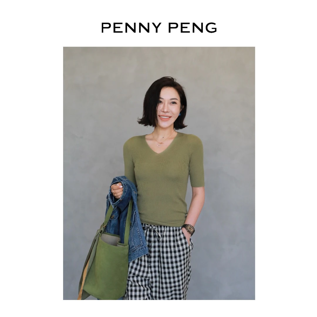 PENNYPENG素境100绵羊毛显瘦气质洋气休闲四色羊毛V领中袖上衣