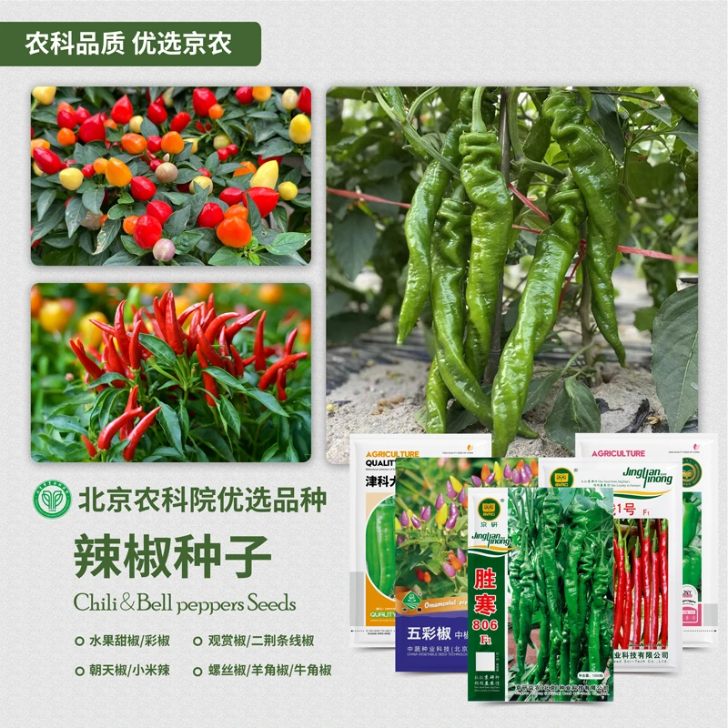 农科院辣椒种子朝天椒小米辣线椒彩椒甜椒青椒柿子椒阳台蔬菜籽孑