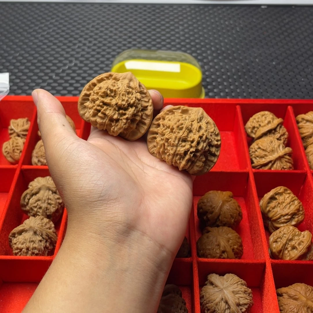 文玩核桃把件官帽53全品白茬