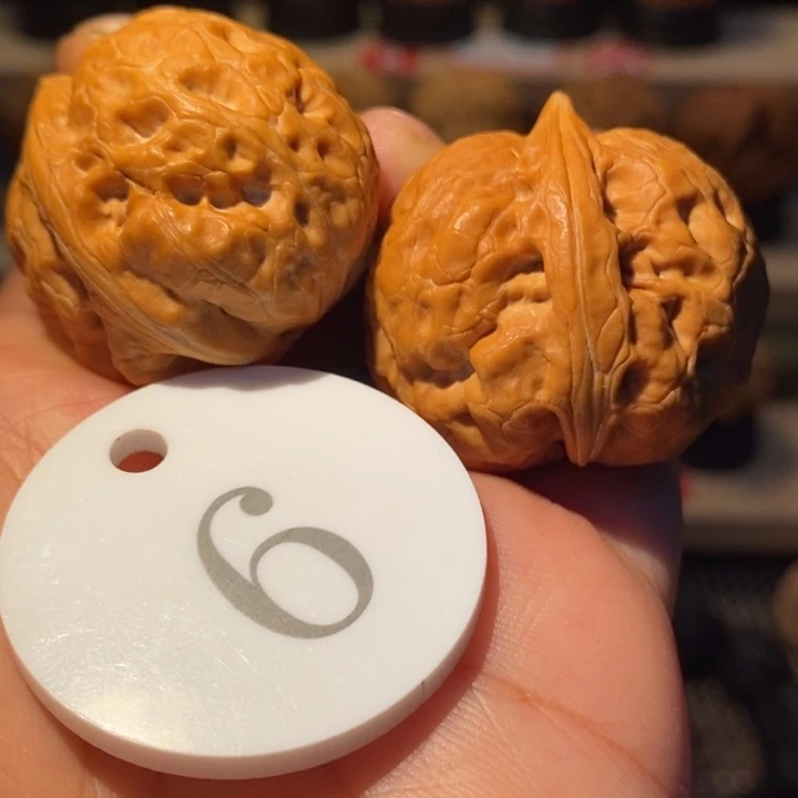50象腿蟾34尺寸，主播自留款