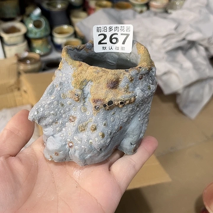 狼盆内口径5高度7