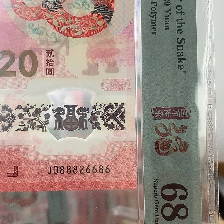 塑料全偶满号，发财灵蛇