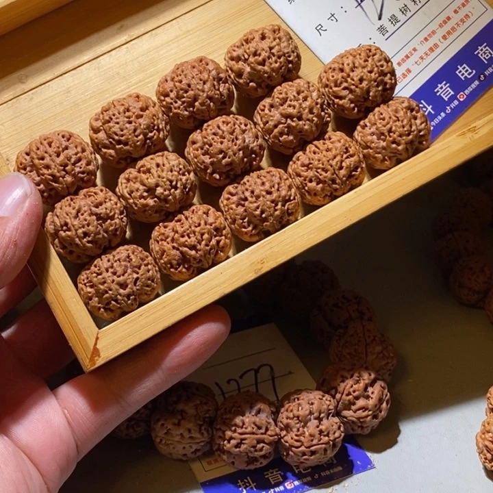 吊坠金刚菩提1282号尺寸23龙爪梅花定制