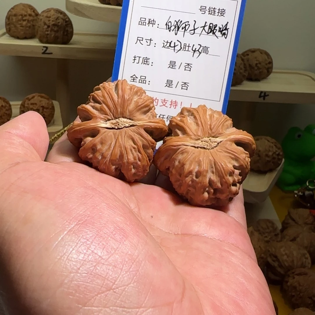 核桃手串/手链白狮子大眼睛