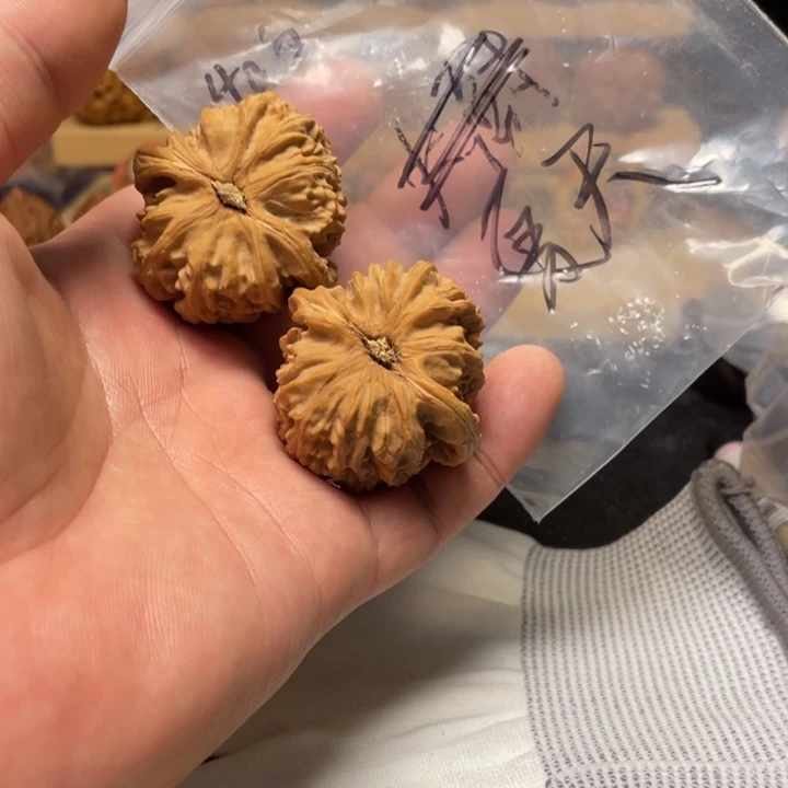 夏***天文玩核桃把件白狮子