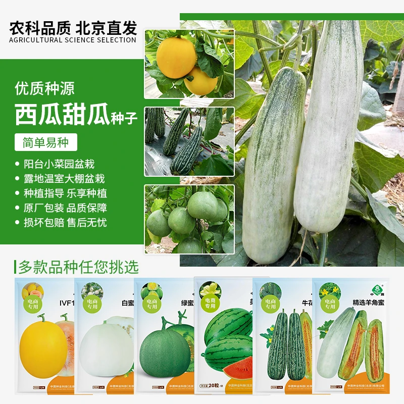 【农科院中蔬】各种甜瓜西瓜种子哈密瓜羊角蜜绿宝麒麟小西瓜蔬果种