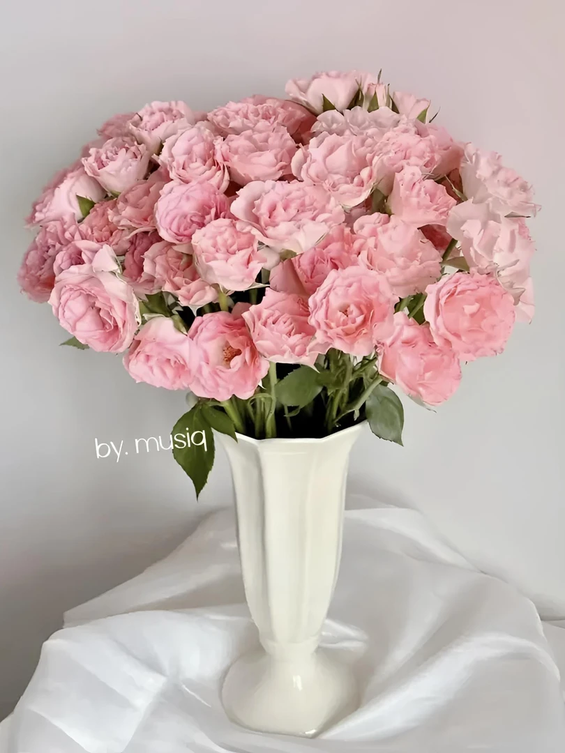 【包邮】全新疆西藏内蒙古甘肃三个花包邮全国A级人鱼公主玫瑰鲜花