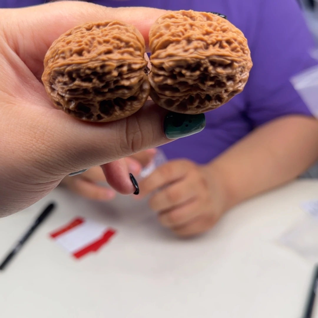 文玩核桃把件38南疆石