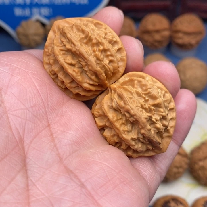 文玩核桃把件九龙筋