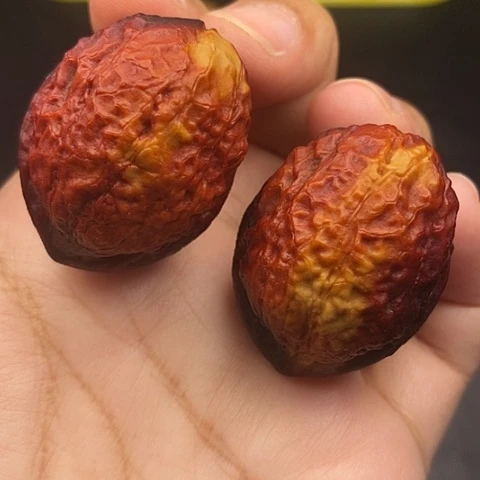 文玩核桃把件35尺蟒纹龙蛋